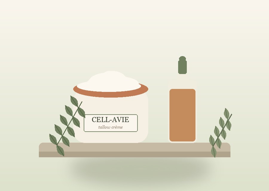 Avie Cream — open jar of whipped tallow face cream with sage sprigs — warm botanical still-life illustration